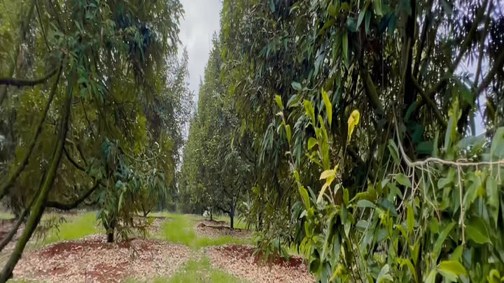 Đất nền xã Bảo Bình, Cẩm Mỹ 12.000m² giá 840 triệu - Cơ hội đầu tư tuyệt vời!