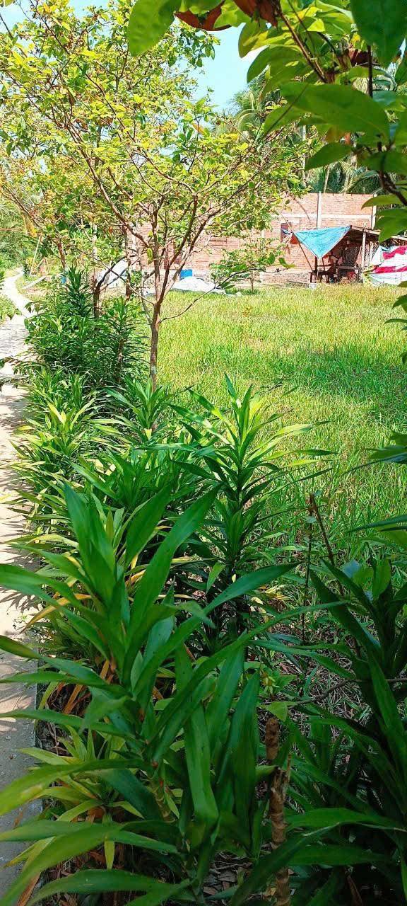 Đất nền Định Thủy 758m² giá 620 triệu - Sổ hồng chính chủ, cơ hội đầu tư tuyệt vời!