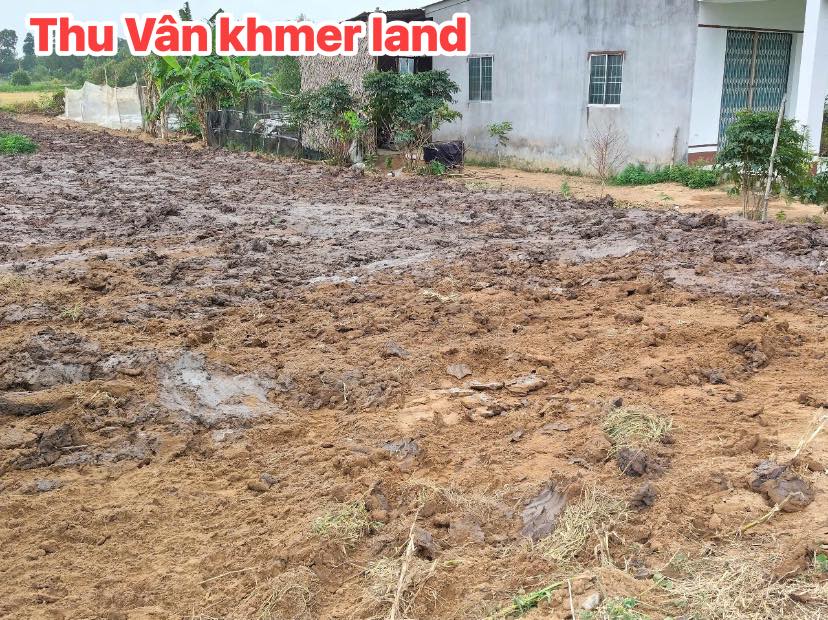 Đất nền mặt tiền nhựa ấp Sóc Ớt, xã Ngũ Lạc, Vĩnh Long 46910m² giá 300 triệu - Đầu tư sinh lời!