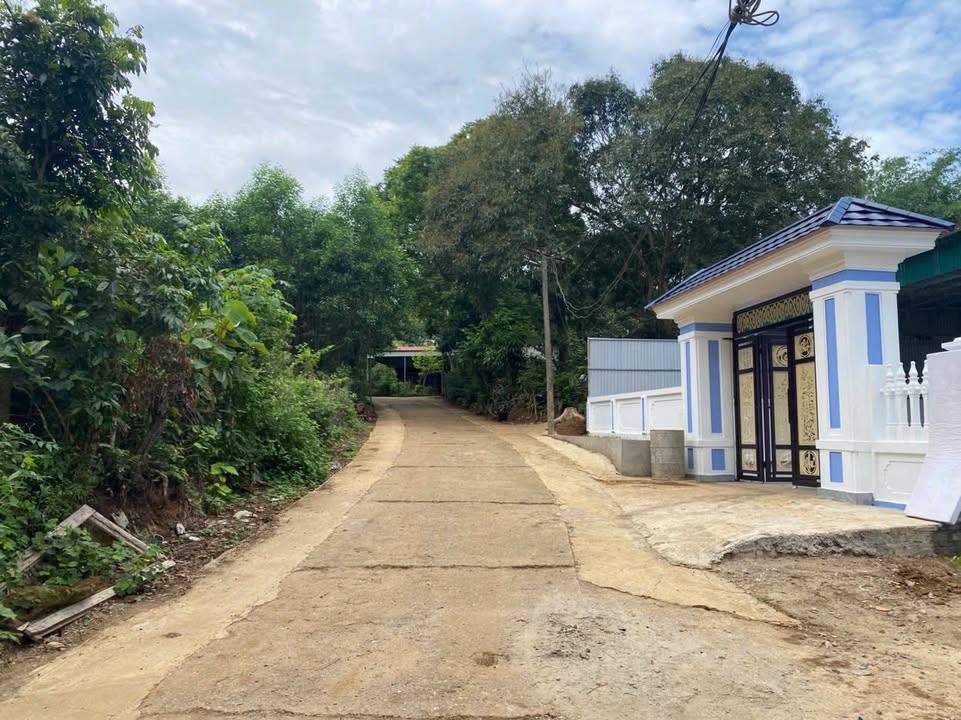 Đất nền Bãi Trành, Như Xuân 100m² - Giá thỏa thuận, tiện ích đầy đủ!