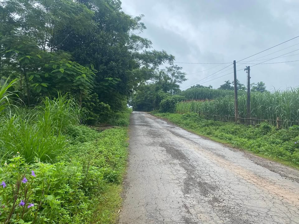 Đất nền Nguyệt Ấn, Ngọc Lặc 600m² giá thỏa thuận - Cơ hội đầu tư tuyệt vời!