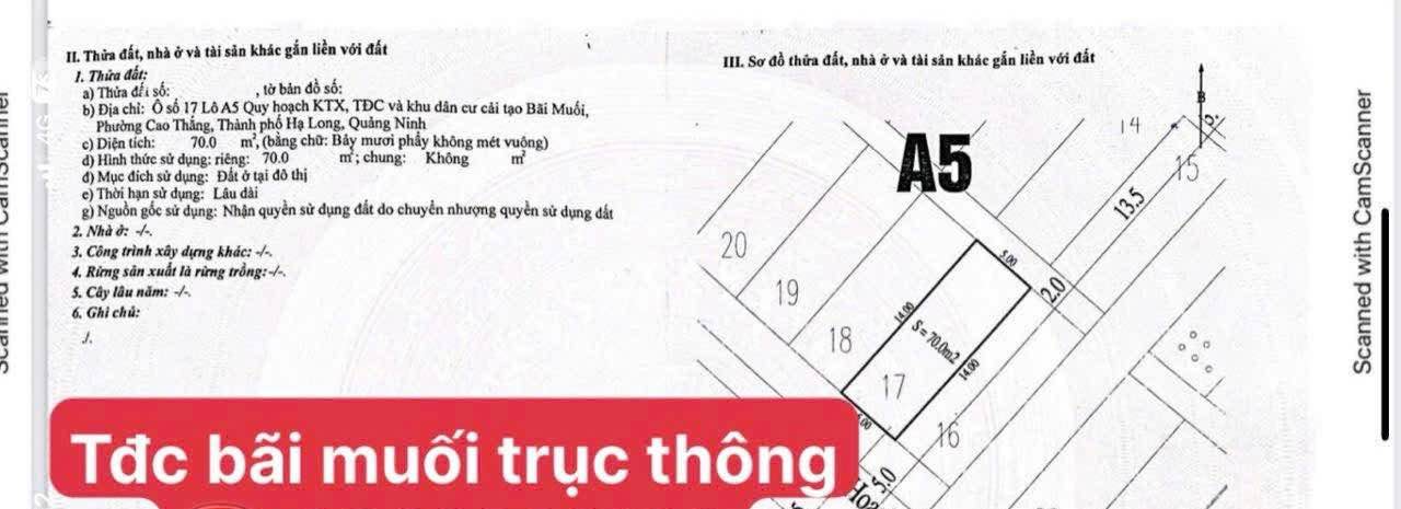 Đất nền Bãi Muối, Hạ Long 70m² - Hạ tầng hoàn thiện, giá thỏa thuận!