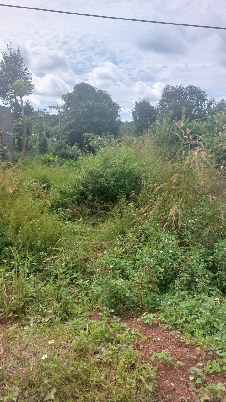 Đất nền Đắk N'Drót 960m² giá 750 triệu - Dịp đầu tư hấp dẫn!