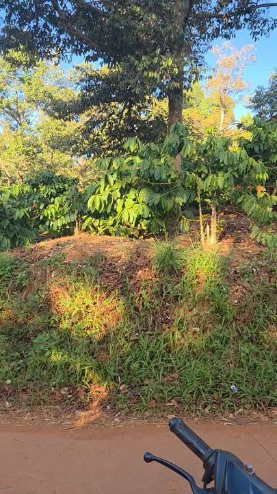 Đất nền Xã Đức Mạnh, Huyện Đắk Mil 1800m² giá 1.15 tỷ - Đầu tư sinh lời ngay!