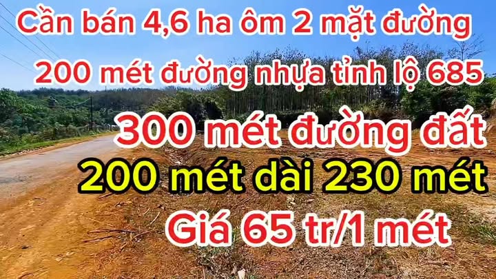 Đất Farm 4,6ha tại xã Quảng Tín, Đắk Nông - Sổ hồng đầy đủ, giá thỏa thuận!