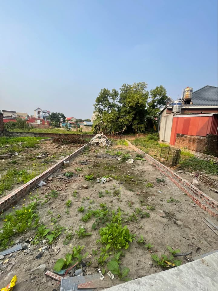 Đất nền chính chủ Thị trấn Phúc Thọ 71m² giá 2 tỷ - Ô tô vào tận đất!