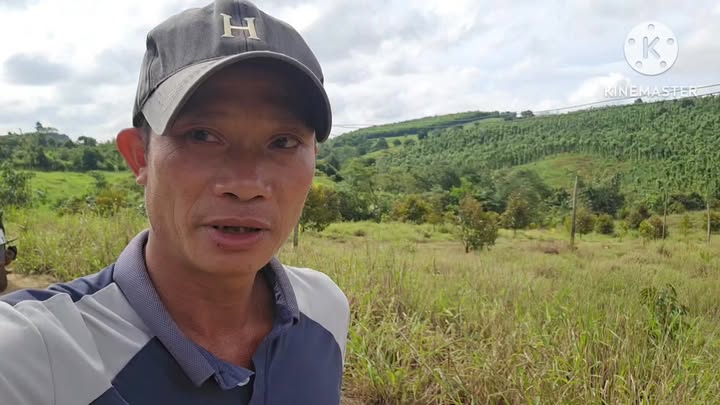 Đất Farm 1.3ha tại Đắk Nông giá 1.9 tỷ - Đầu tư sinh lời ngay!