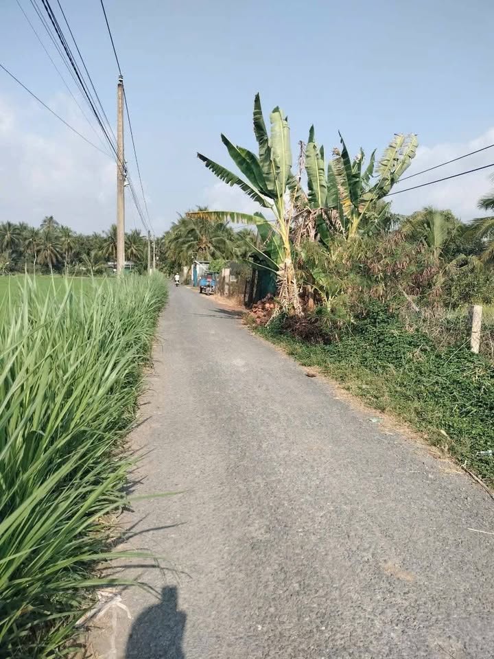 Đất nền 1300m² mặt tiền đường Ba Kinh, xã Long Vĩnh, giá 1.7 tỷ - Đầu tư sinh lời ngay!