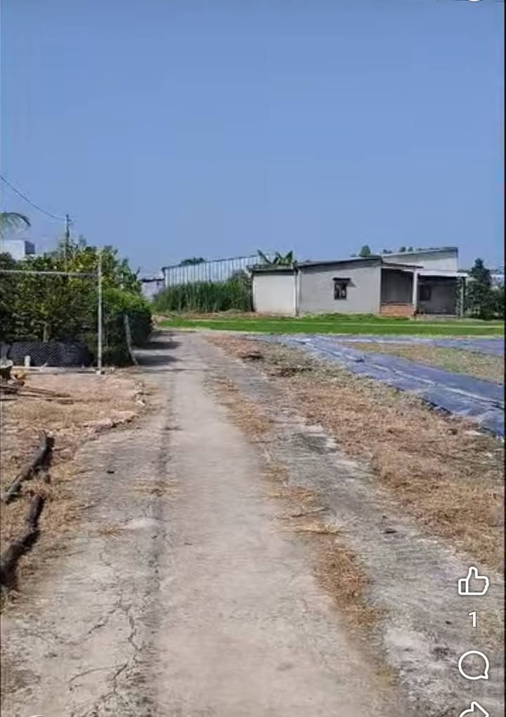 Đất nền 162m² tại Ấp 1, Bình Xuân, Gò Công, giá 350 triệu - Đầu tư sinh lời ngay!