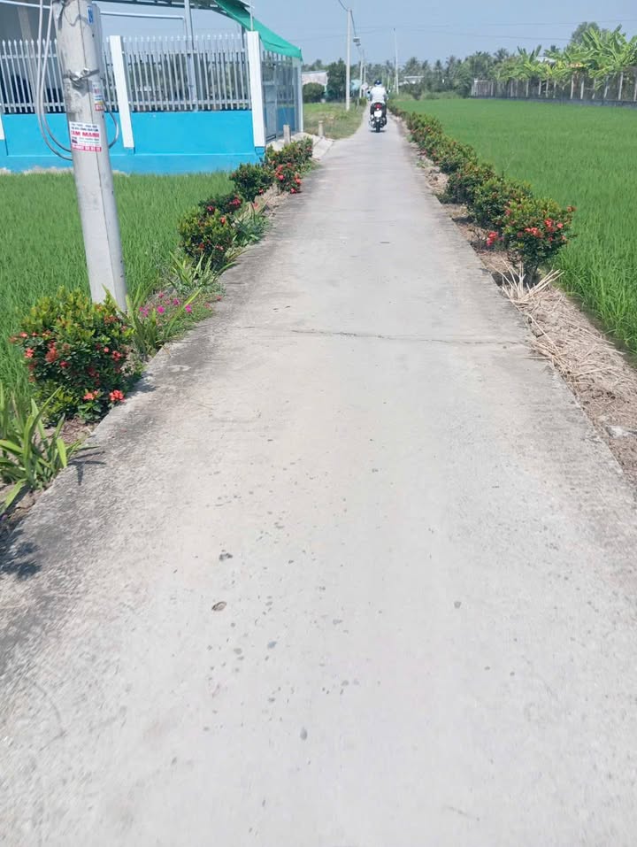 Đất vườn 220m² xã Yên Luông, Gò Công Tây - Giá chỉ 290 triệu, pháp lý rõ ràng!