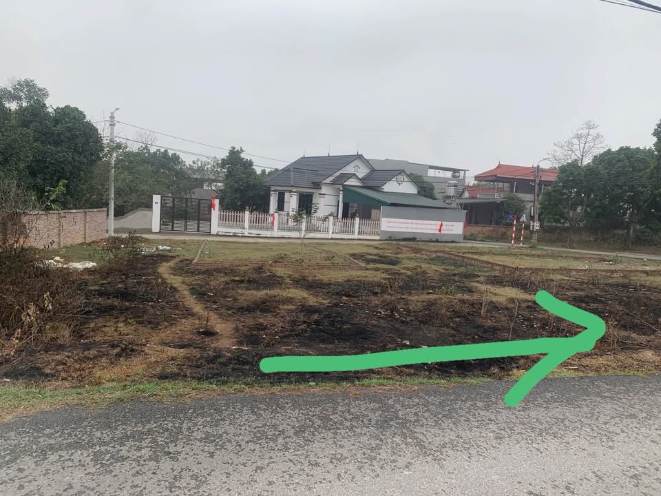 Đất thổ cư Thôn Mới - Thanh Vân, Tam Dương 100m² giá 1.2 tỷ - Đường ô tô tránh lý tưởng!