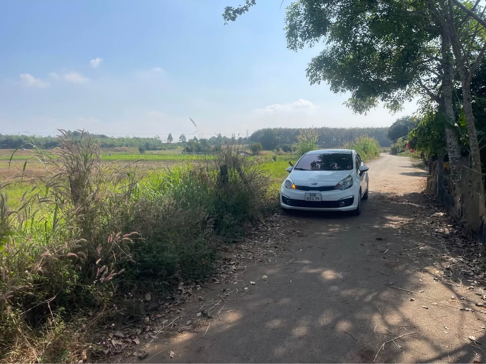 Đất mặt tiền đường nhựa nhánh 1231m² phường Tam Long, Bà Rịa - Vũng Tàu giá chỉ 2.1 tỷ