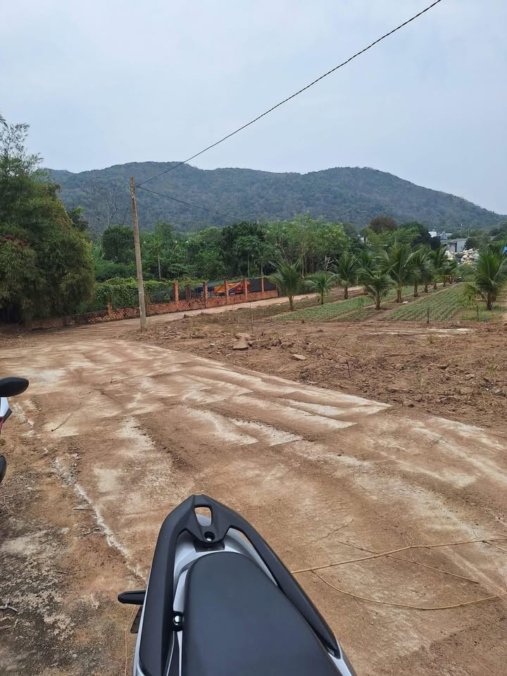 Đất nền dự án Hàng F0 Phước Hưng 150m² giá từ 750 triệu - Cơ hội đầu tư hấp dẫn!