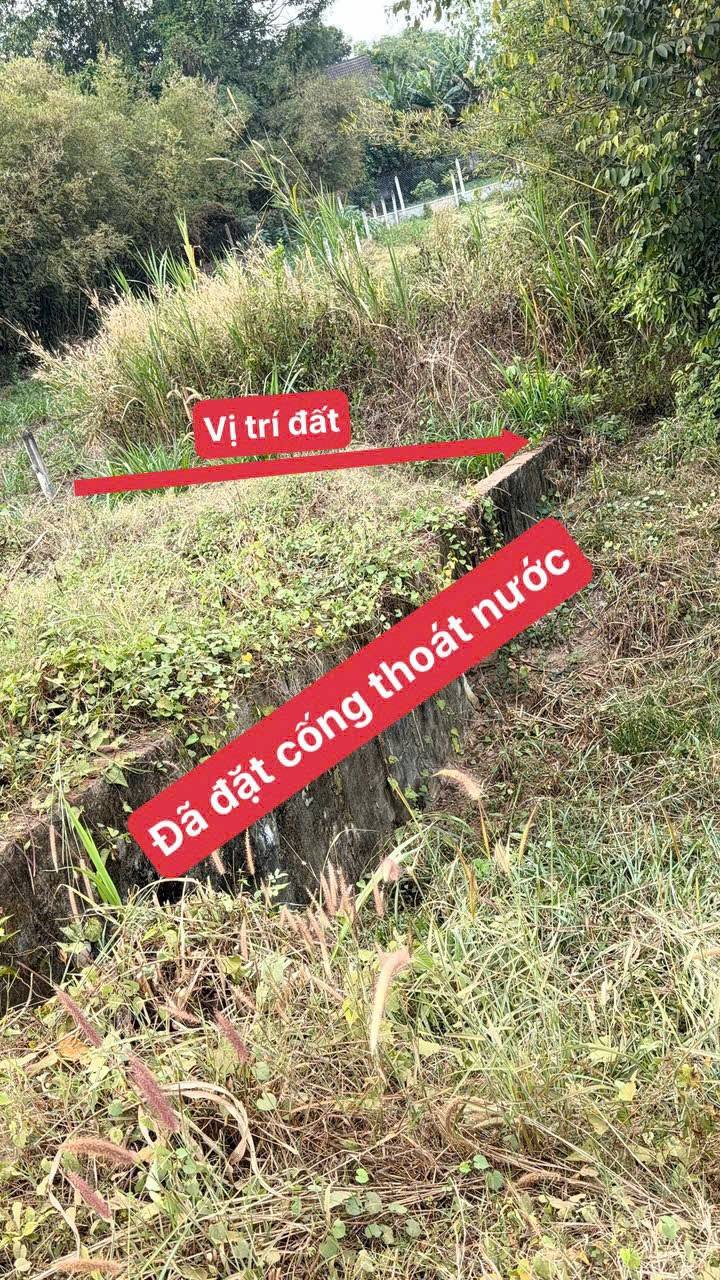 Đất nền 300m² Thái Mỹ, Củ Chi - Đầu tư ngay với vị trí vàng!