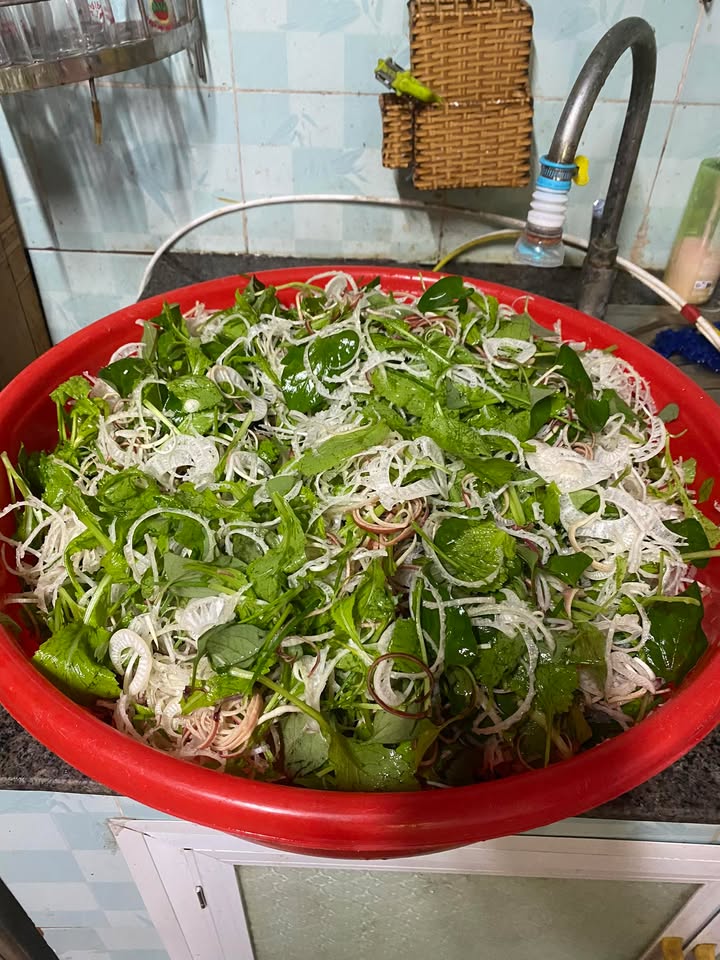 Townhouse 240m² tại Chế Viết Tấn, Đà Nẵng giá 15 tỷ - Dòng tiền ổn định 40 triệu/tháng!