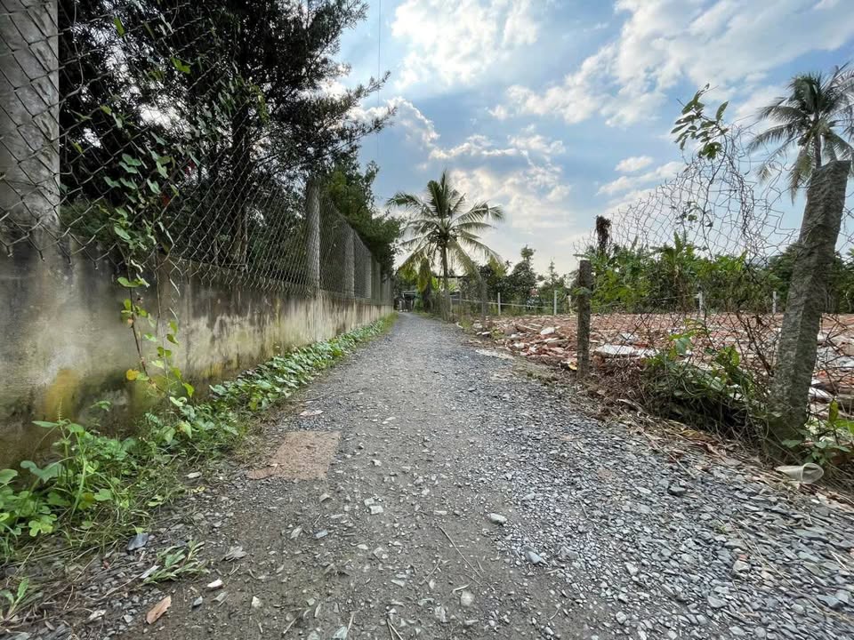 Đất nền xã Bình Phú, Tân Hồng 120m² giá 280 triệu - Đường ô tô vào tận nơi!