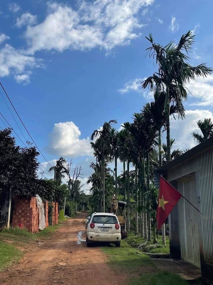 Đất nền xã Quảng Phú, huyện Krông Nô 315m² giá 820 triệu - Cơ hội đầu tư sinh lời!