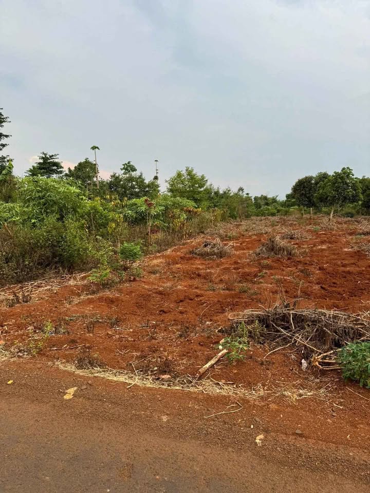 Đất nền liền kề hẻm Phan Huy Chú - Diện tích 780m² - Giá chỉ từ 750 triệu!