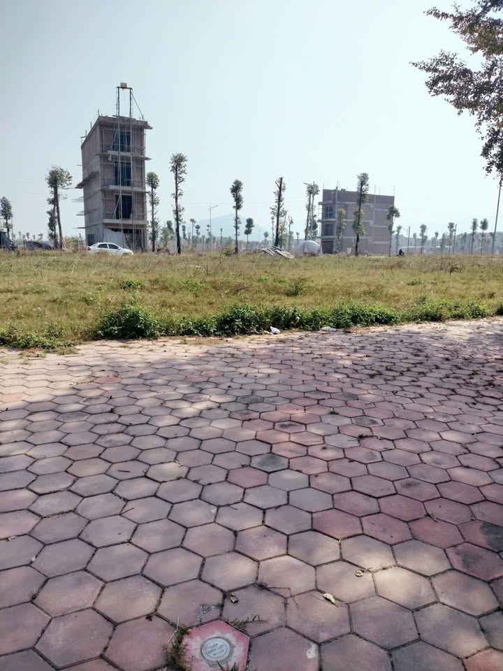 Đất nền khu đô thị phía Đông Đồi Ngô Lục Nam Bắc Giang 80m² - Vị trí đẹp, kinh doanh thuận lợi