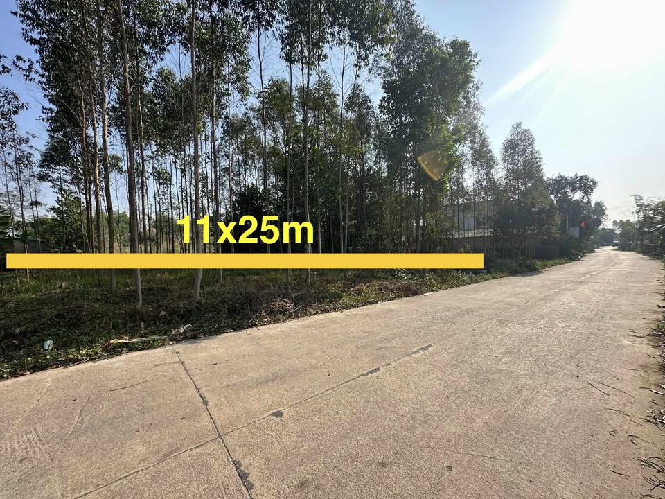 Đất thổ cư 269m² tại TDP Liên Tân, Bố Hạ - Đầu tư sinh lời lý tưởng chỉ 1 tỷ!