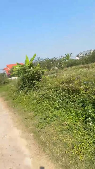 Đất thổ cư Hòa Mục, Mỹ An, Lục Ngạn 1000m² - Cơ hội đầu tư tuyệt vời!