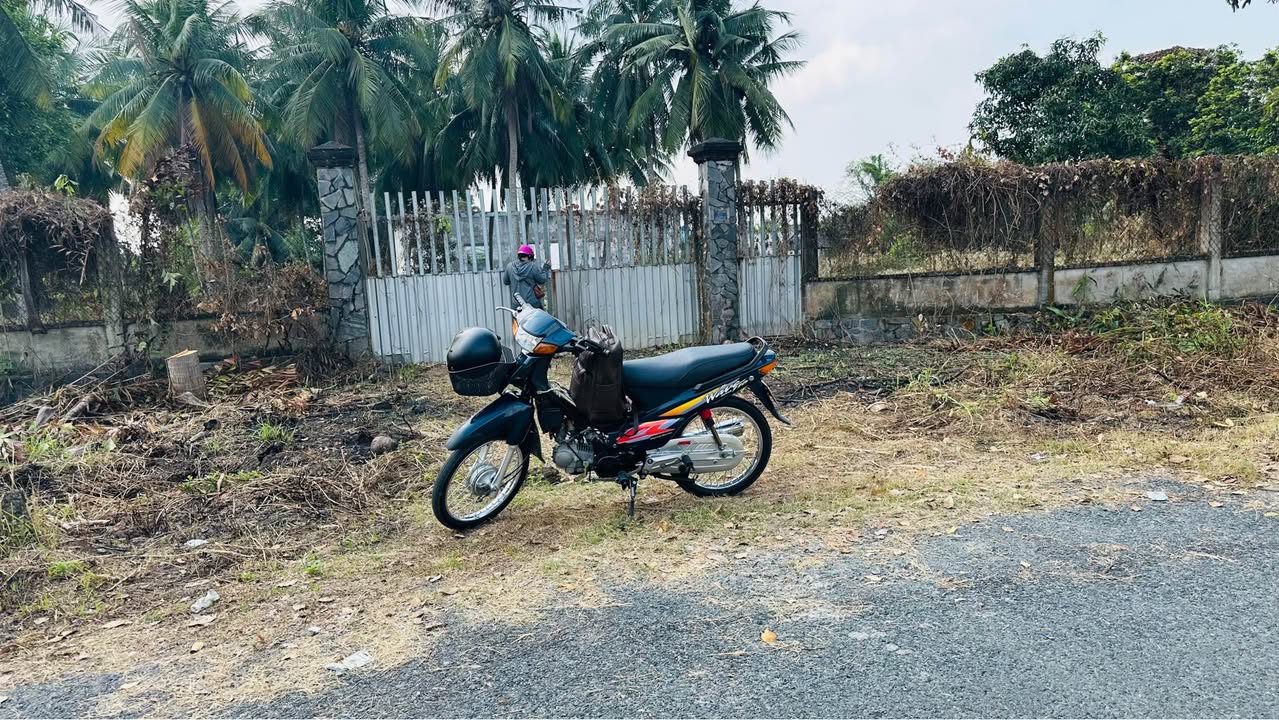 Đất nền chính chủ Cần Giuộc 6064m² giá 36 tỷ - Mặt tiền Quách Văn Tuấn thoáng đãng!