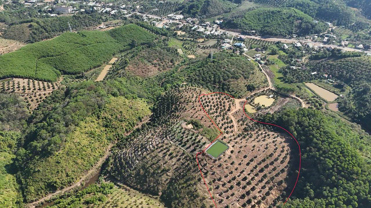 Đất nông nghiệp trồng sầu riêng 2,7ha tại Đạ Kho, Đạ Tẻh - Giá chỉ 1,5 tỷ đồng!