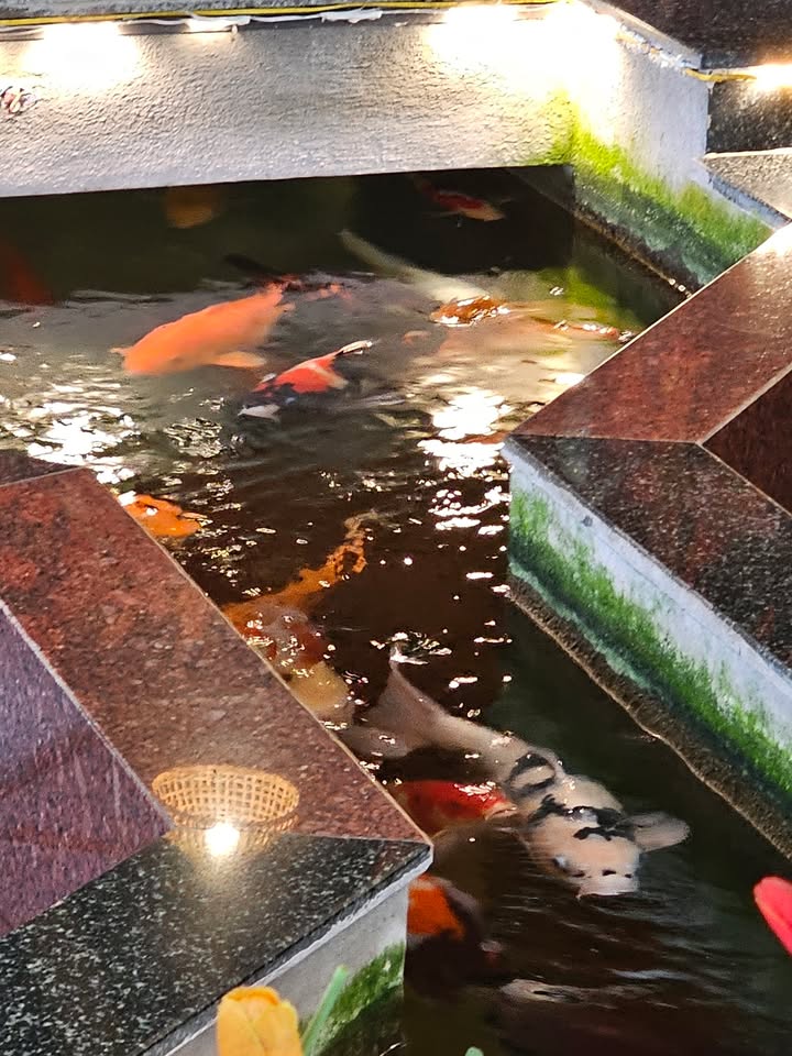 Đất nền 90m² tại Phường Quảng Phú, Thanh Hóa - Giá 1 tỷ, đầu tư sinh lời tốt!