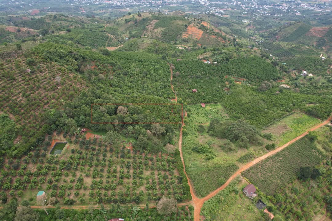 Đất nở hậu 1.011m² tại Lộc Thành, Bảo Lâm giá 720 triệu - Đầu tư sinh lời!