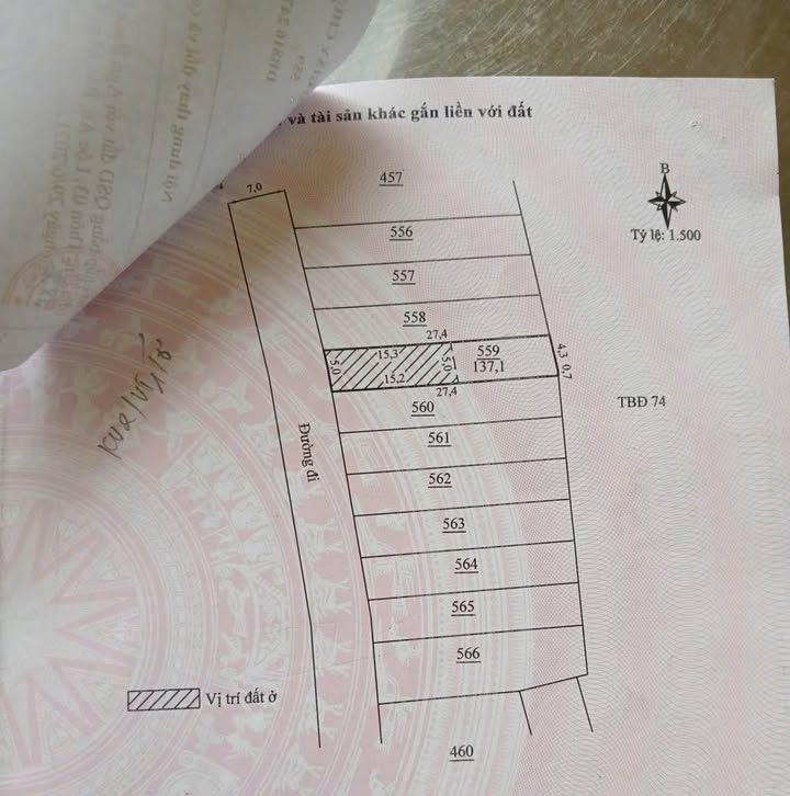 Đất Lộc An 5270m² giá 700 triệu - Cơ hội đầu tư hấp dẫn!