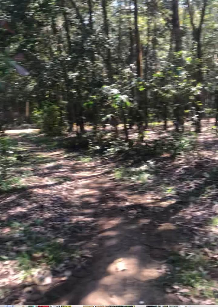 Đất mặt tiền đường Đất Hiền, 1500m² giá 300 triệu - Sổ hồng riêng, đầu tư sinh lời!