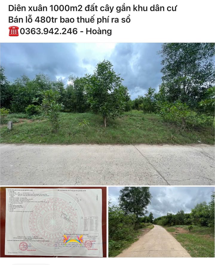 Đất nền Diên Xuân 1000m² giá chỉ 480 triệu - Đầu tư sinh lời ngay!