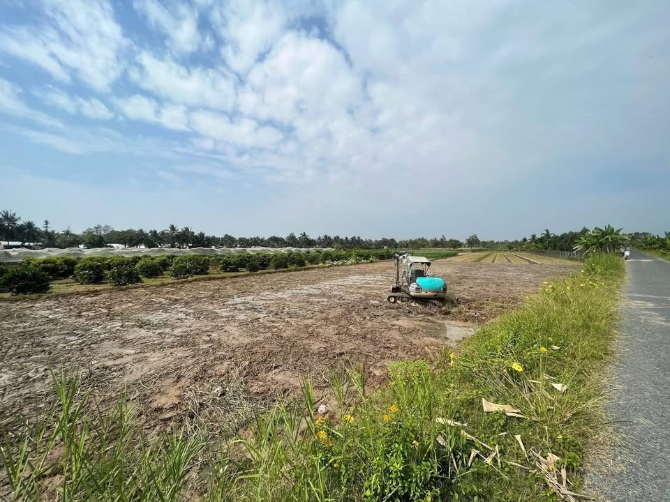 Đất thổ cư xã Tân Lược, huyện Tam Bình, 125m² giá 499 triệu - Tiện ích đầy đủ!