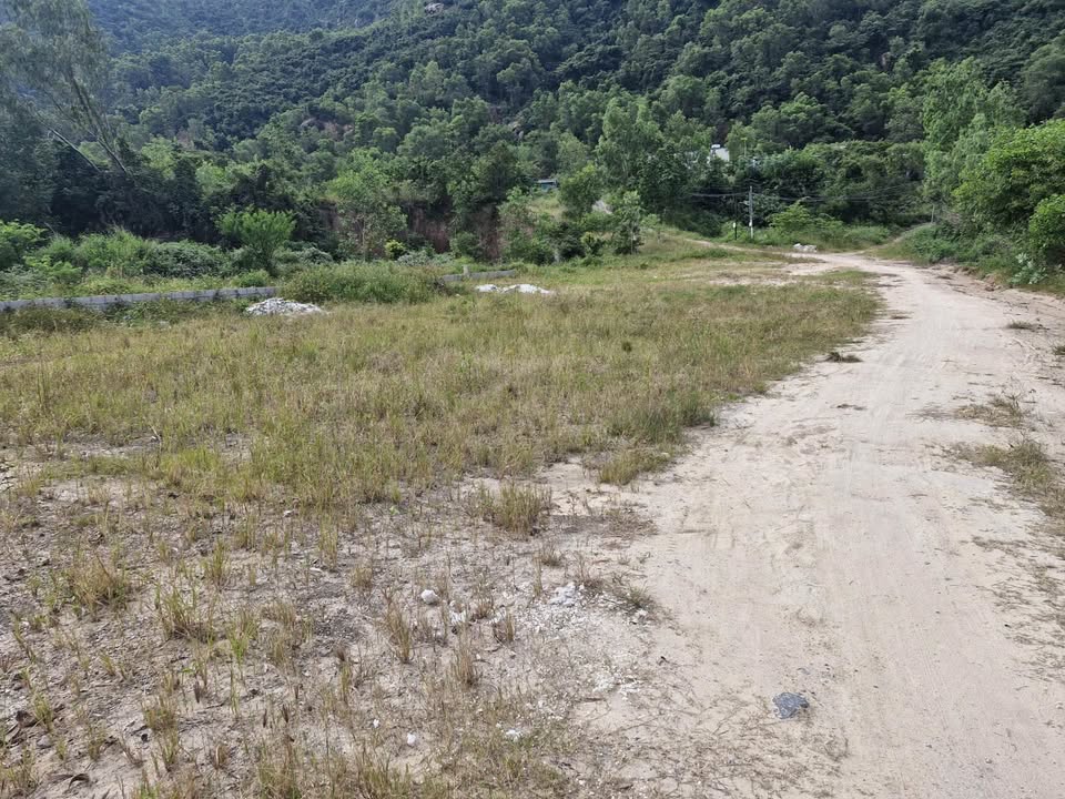 Đất nền Phước Đồng Nha Trang 3000m² giá 5.5 tỷ - Pháp lý rõ ràng, sẵn sàng giao dịch!