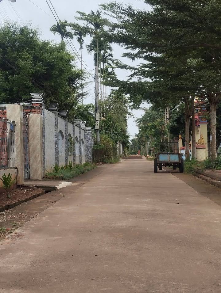 Đất thổ cư Hòa Thuận 537.5m² giá 1.725 tỷ - Vị trí đẹp, thông thoáng!