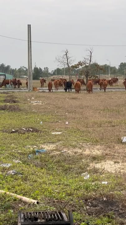 Lô đất giá rẻ khu đô thị Ngọc Dương Riverside 111.4m² - Cơ hội đầu tư tuyệt vời!