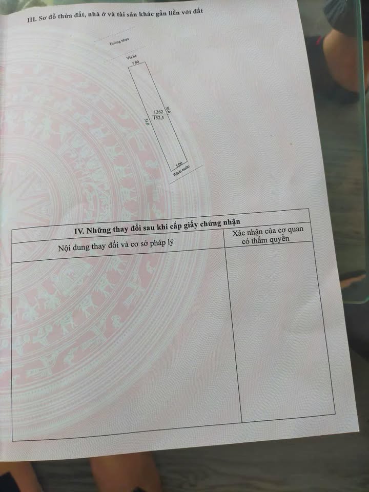 Đất nền KDC mới Tân Phượng, Bắc Giang 152.5m² giá 3 tỷ - Đầu tư sinh lời ngay!