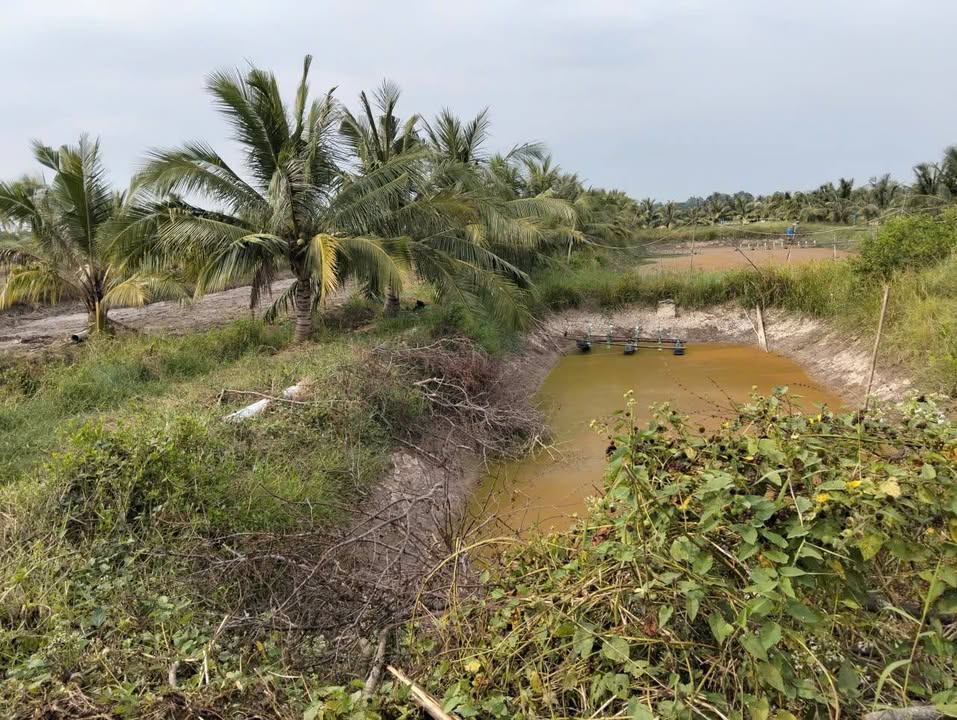 Đất nền Trà Cú 6200m² - Mặt tiền sông Hàm Giang, giá thỏa thuận!