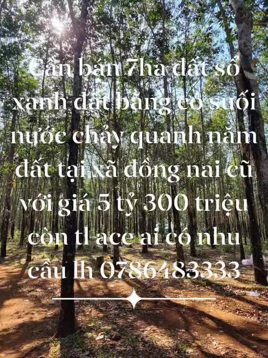 Đất nền Đồng Nai Bù Đăng 7ha giá 5.3 tỷ - Cơ hội đầu tư hấp dẫn!
