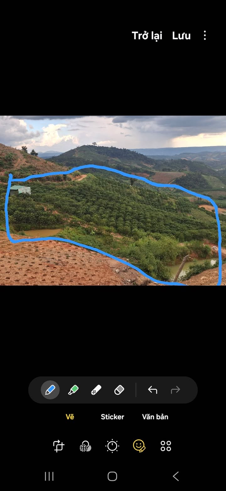 Đất nền 1.6ha tại Tân Thanh, Lâm Hà giá 3.2 tỷ - Cơ hội đầu tư hấp dẫn!