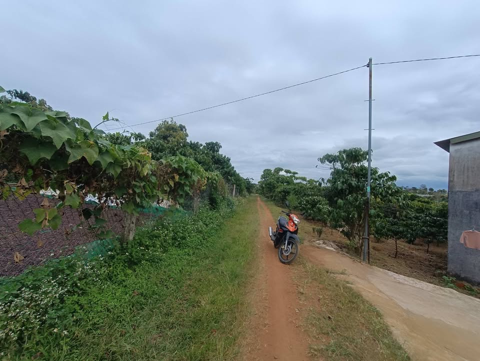 Đất nền 7200m² tại Lộc Thắng, Bảo Lâm - Giá chỉ 2.4 tỷ, thương lượng chính chủ!