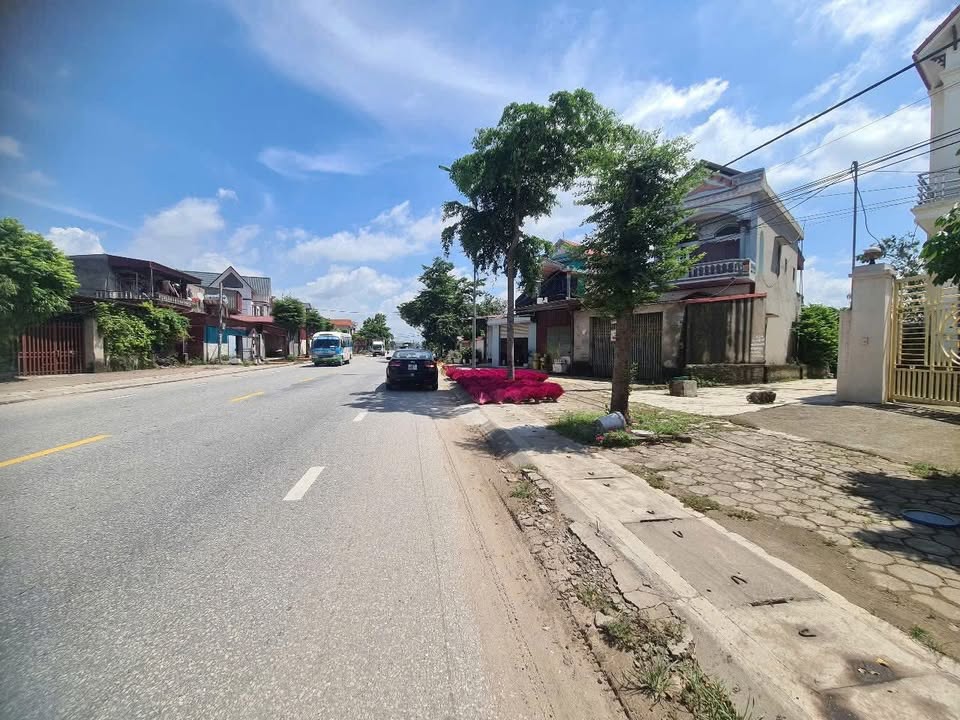 Đất mặt tiền Quốc lộ 37 Thanh Quang, Tứ Kỳ 121m² giá 2.4 tỷ - Vị trí đắc địa kinh doanh!