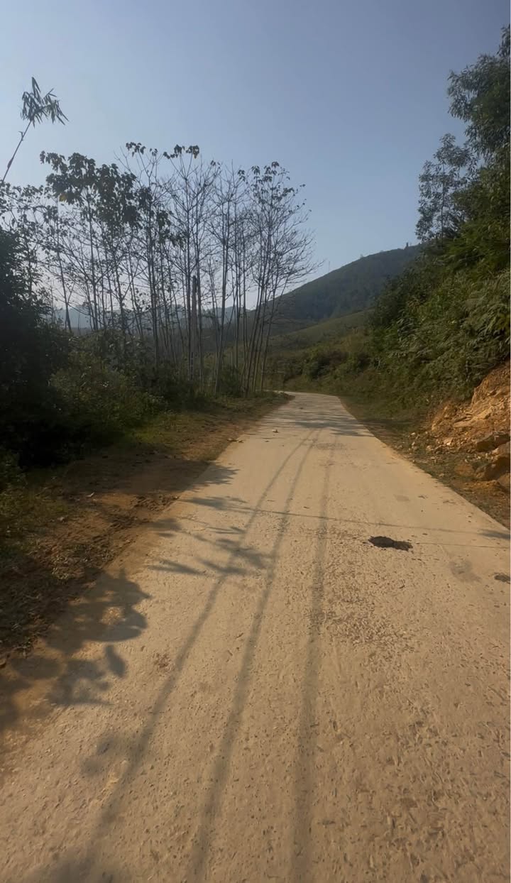 Lô đất nghỉ dưỡng 2300m² tại Xuân Đài, Tân Sơn - Cơ hội đầu tư hấp dẫn!