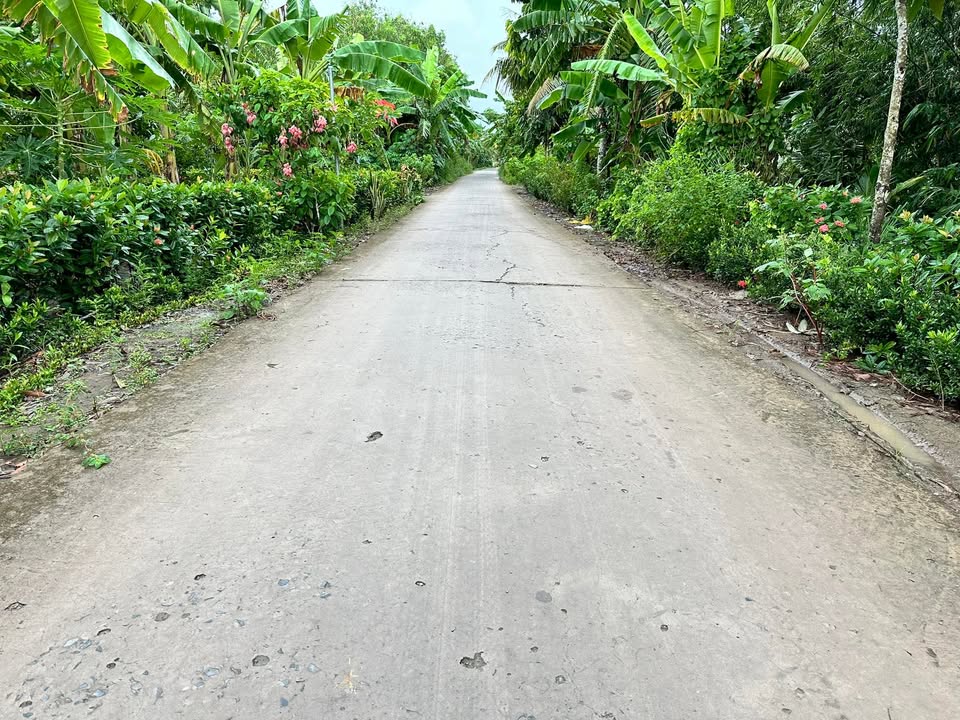 Đất nền 2200m² Hòa An, Phụng Hiệp giá 680 triệu - Đầu tư sinh lời nhanh!