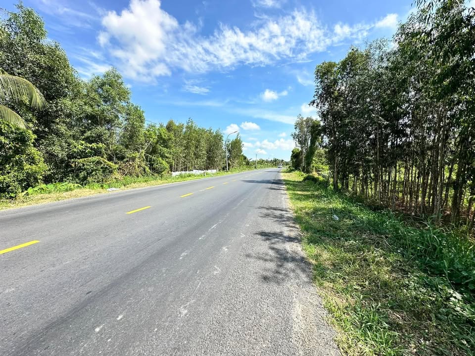 Đất nền mặt tiền Quản lộ Phụng Hiệp 655m² - Giá bán đầu tư hấp dẫn!