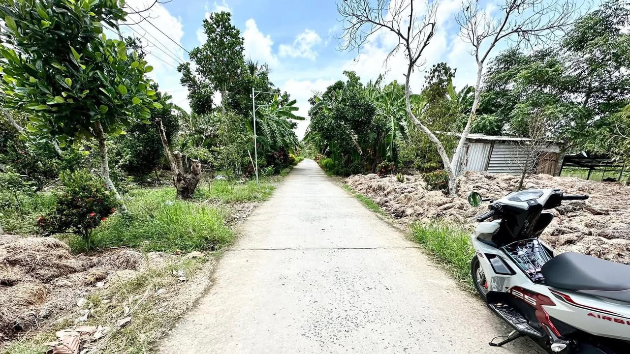 Đất thổ cư Hiệp Hưng Phụng Hiệp 1.290m² giá 650 triệu - Sổ hồng riêng, vị trí đắc địa!