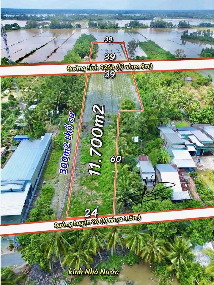 Bán đất ruộng 11.700m² xã Hòa An - 3 mặt tiền, giá 6 tỷ - Đầu tư sinh lời!