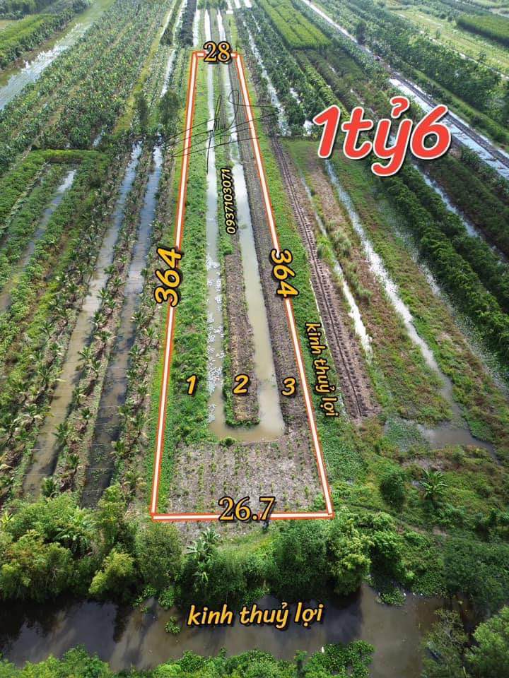 Đất nền 10.000m² Thị trấn Cây Dương, Hậu Giang giá 1.6 tỷ - Cơ hội đầu tư lý tưởng!