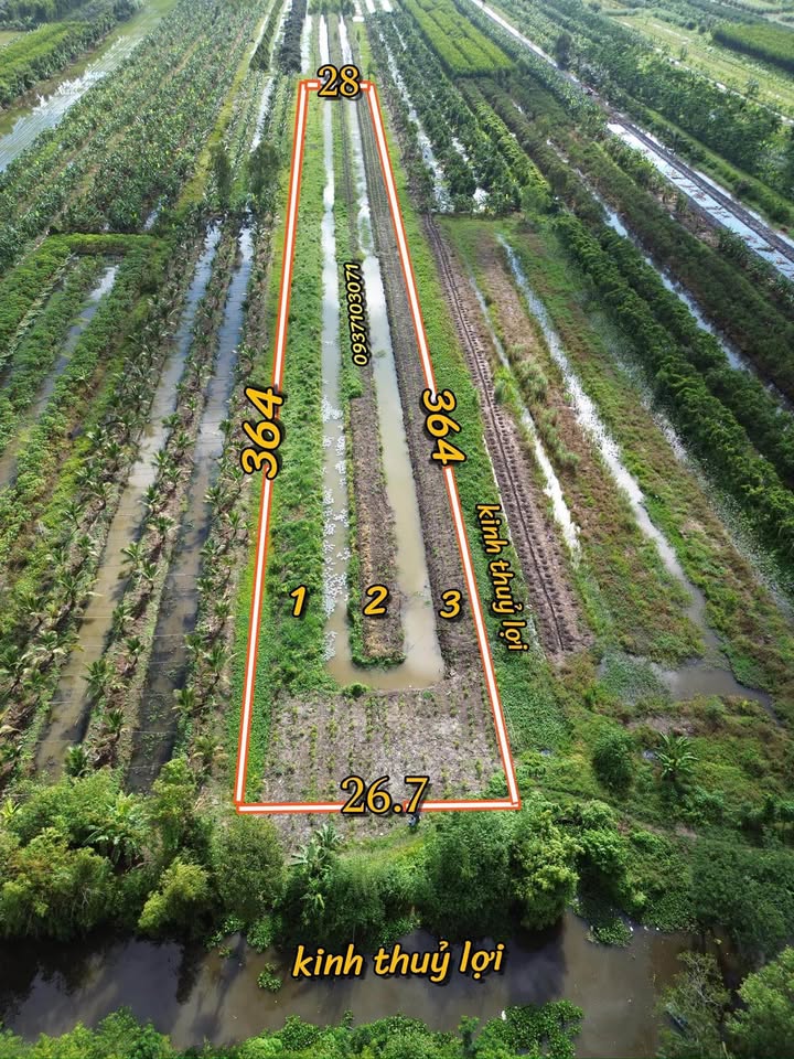 Đất nền 10.000m² Thị trấn Cây Dương, Hậu Giang chỉ 1.6 tỷ - Đầu tư sinh lời!