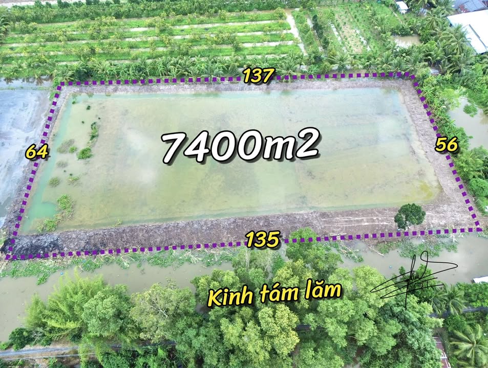 Đất lúa 7.400m² tại ấp Phú Xuân, Hậu Giang - Giá chỉ 18.5 tỷ!